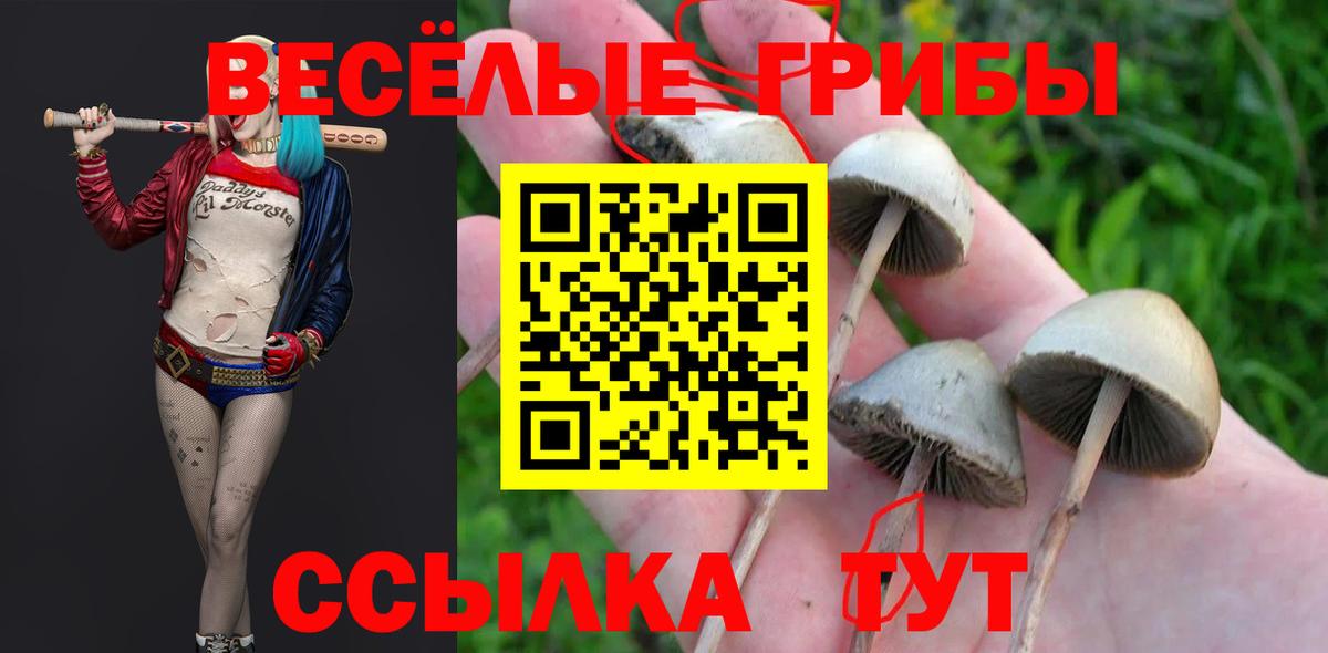 Галлюциногенные грибы мицелий  Галлюциногенные грибы Cubensis  Вход с VPN  Арсеньев 